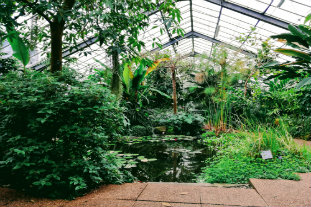 Botanic Garden calls for budding writers and artists